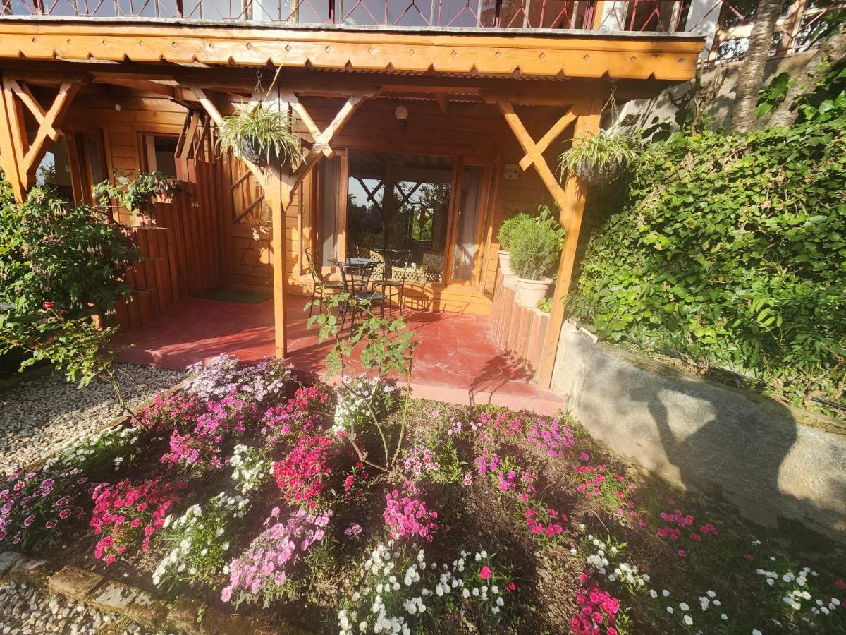 The Chalets Naldehra Shimla Ngoại thất bức ảnh